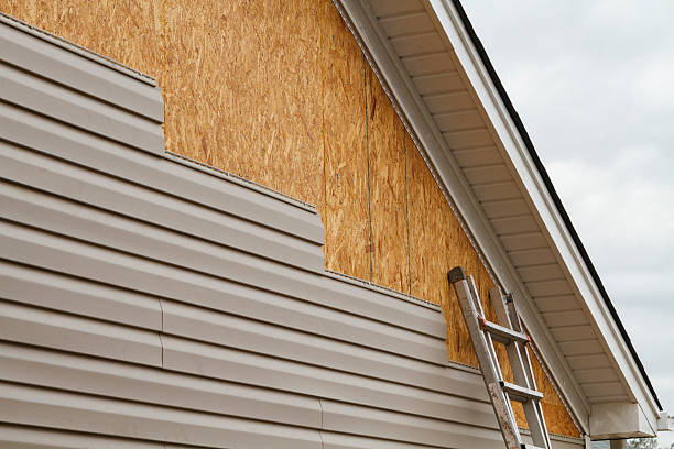 Professional Siding Inspection technician working in Franklin Park, FL